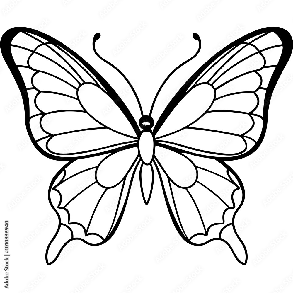 butterfly on white background butterfly on white background