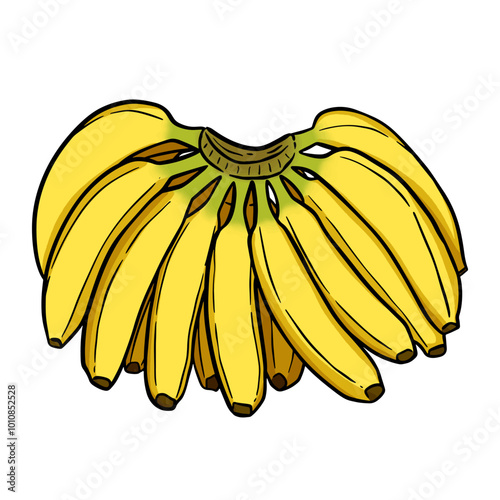 Yellow banana illustration, isolated on white background. Perfect for food related graphics or educational materials. Vector image, banana illustration with outline.