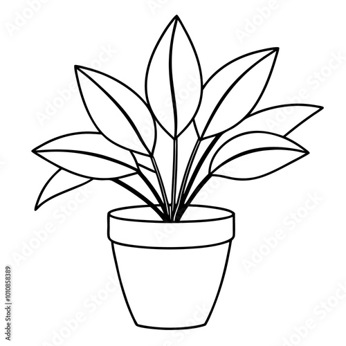 indoor house plant outline coloring book page line art drawing