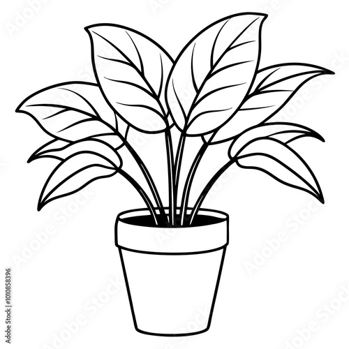 indoor house plant outline coloring book page line art drawing
