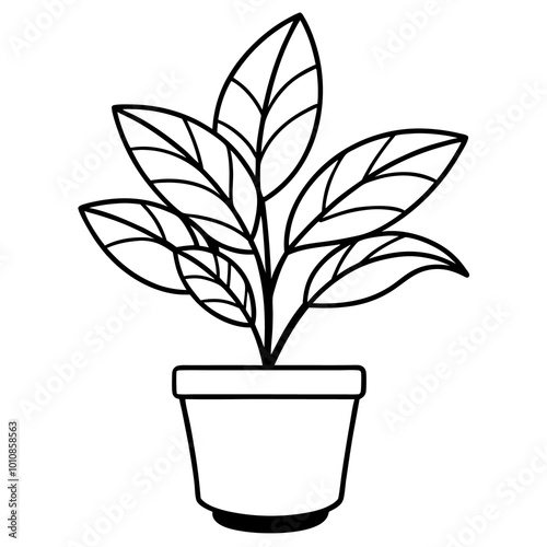 indoor house plant outline coloring book page line art drawing