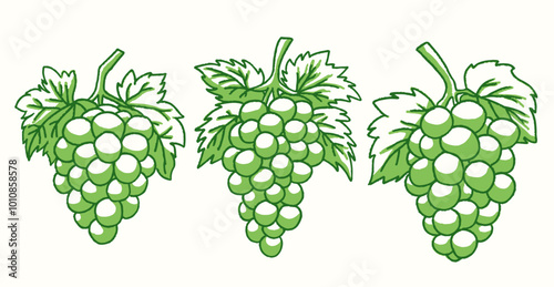 Set of cartoon grapes line art. Vector illustration of grapes. Grapes doodle illustration.