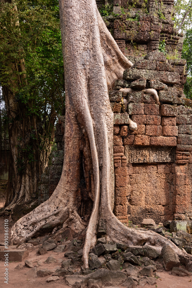 Naklejka premium Angkor ancient temple ruins in Cambodia