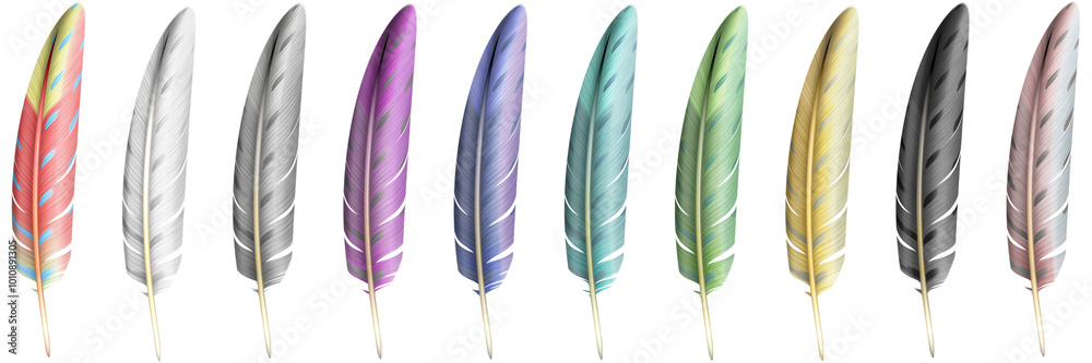 Color feathers, soft bird plumage isolated on white background. Raster Illustration. Color feathers, soft bird plumage isolated on white background. Raster Illustration.