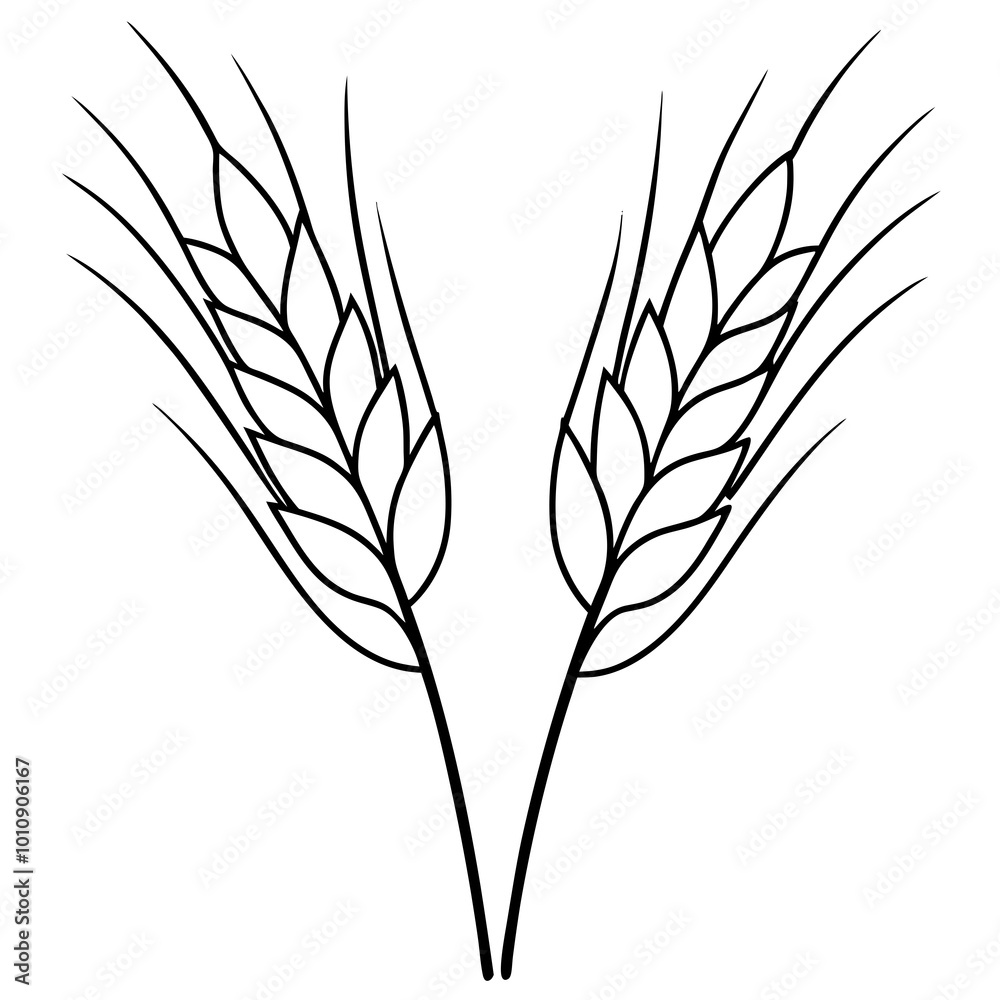 Fototapeta premium ears of wheat