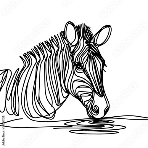 vector zebra one line art continuous drawing