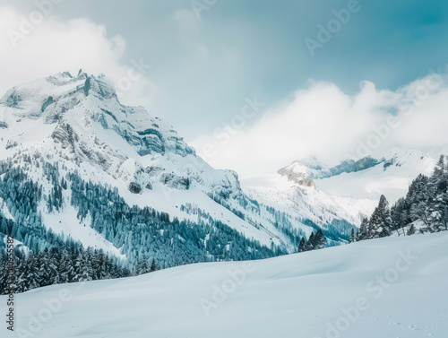 Snow-covered mountains with pine trees under a cloudy sky in a tranquil winter landscape during the day