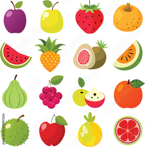Set of different types of fruits vector illustration isolated on white or transparent background