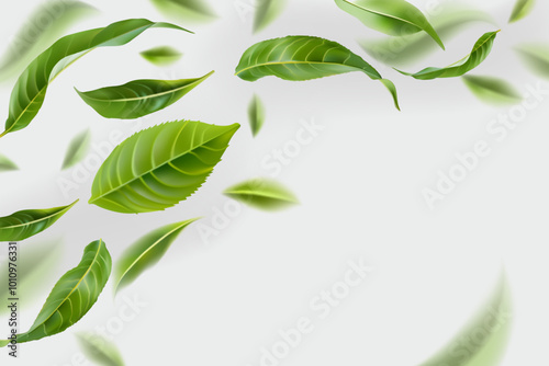 Green tea leaves flying in the air isolated on white background beautiful illustration. Food levitation concept. Vector image