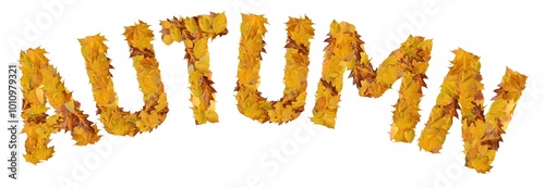 arched word autumn from autumnal leaves