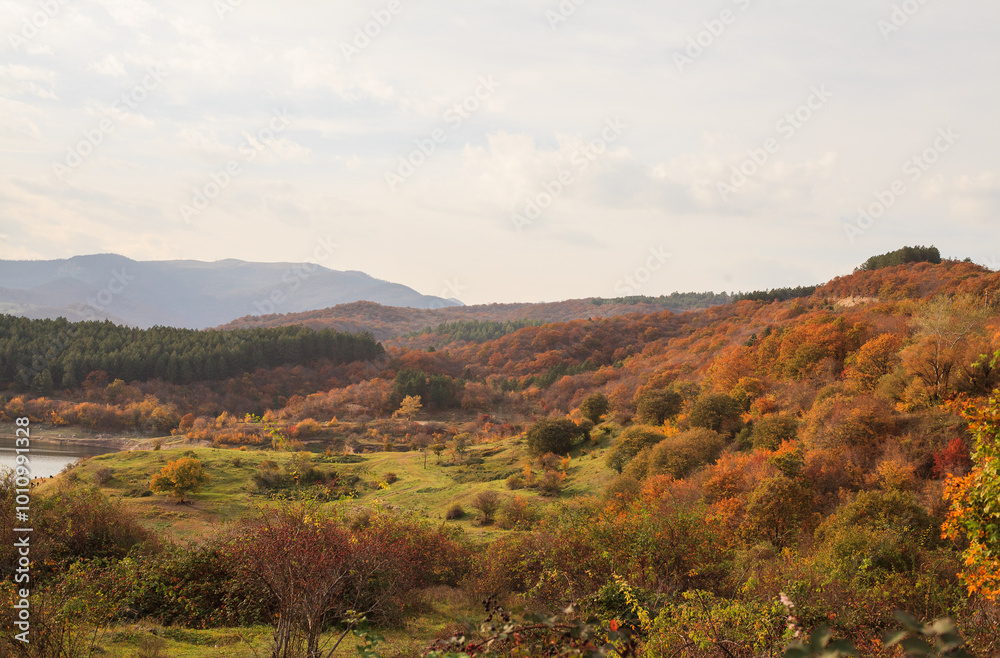Fototapeta premium a panoramic view of autumn landscape with mountain hills surrounded by trees with yellow and red foliage at birtvisi canyon in georgia at a sunset light