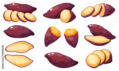 Vector illustration set of sweet potato, yam. Vegetable with purple skin and light yellow interior, fresh, peeled, sliced ​​pieces, circles, slices, halves of sweet potato.