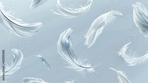 white feathers. white feathers falling from the sky