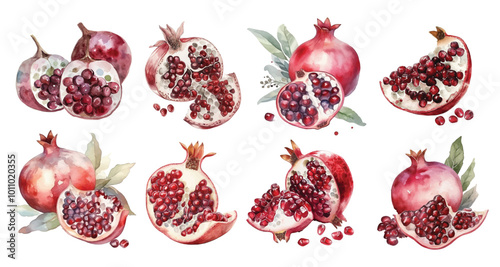 watercolor pomegranates fruit slice with grains and leaves in burgundy tones drawing illustrations set