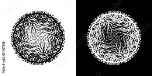 Abstract background with abstract line pattern in circles. Spiral art design as a logo or icon. A black figure on a white background and the same white figure on a black side. Mandala design with line