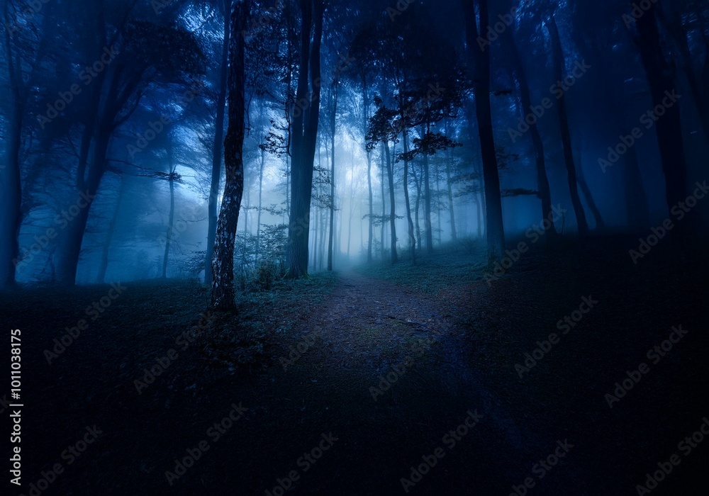 Naklejka premium A path winds through a dark and mysterious forest, shrouded in thick fog and illuminated by a faint light.