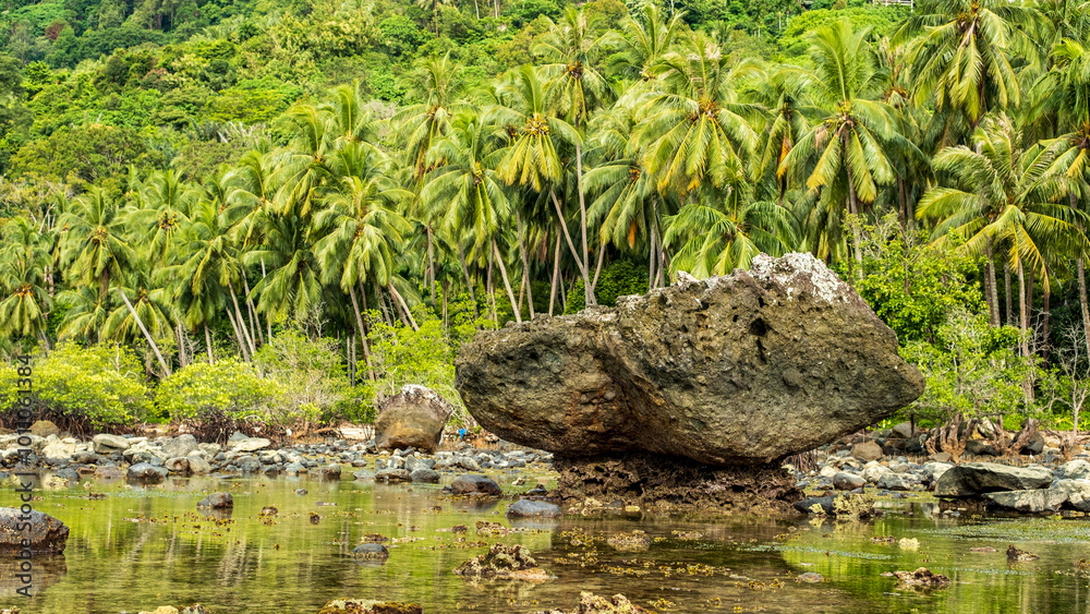 Obraz premium Large coastal rock formations surrounded by lush palm forests. , creating a peaceful tropical landscape with rugged natural elements. Natural beach background wallpaper