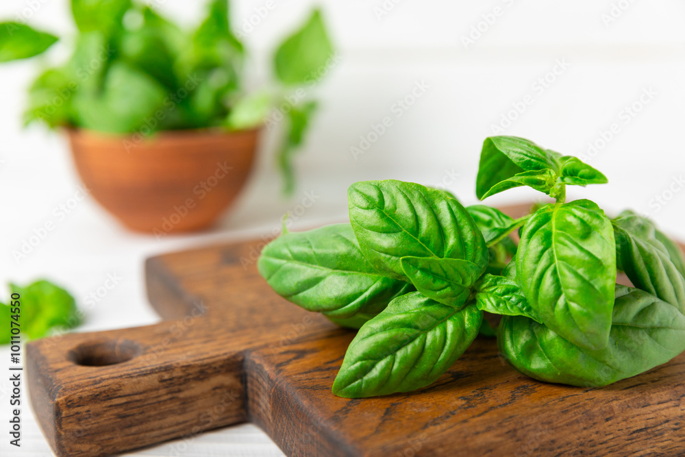 Green basil leaves on a textured wooden background. Kitchen herbs, spices. Fresh green organic basil. Vegan. Greens for salad. Place for text. Copy space. Green basil leaves on a textured wooden background. Kitchen herbs, spices. Fresh green organic basil. Vegan. Greens for salad. Place for text. Copy space.