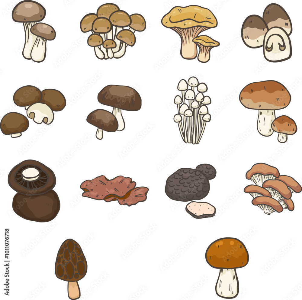 Edible mushroom illustration for decoration on vegetables and cooking materials concept. Edible mushroom illustration for decoration on vegetables and cooking materials concept.