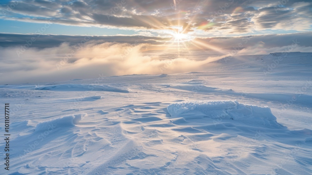 Serene Winter Landscape with Bright Sunlight Serene Winter Landscape with Bright Sunlight