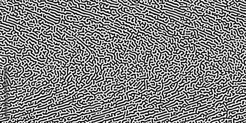 Dynamic Patterns of Nature An In-Depth Exploration of Monochrome Turing Reaction Diffusion and Organic Movement