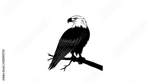 Eagle perched on a branch, wings folded, surveying its surroundings, vector illustration art