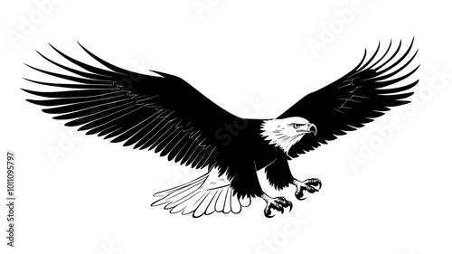 An eagle swoops down toward the ground, talons extended, preparing to catch prey, vector illustration art