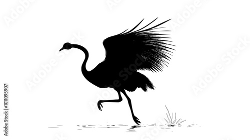 Ostrich flapping its wings as it runs, using them to maintain balance, vector illustration art