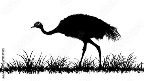 Ostrich walking slowly across a grassy field, head bobbing with each step, vector illustration art photo