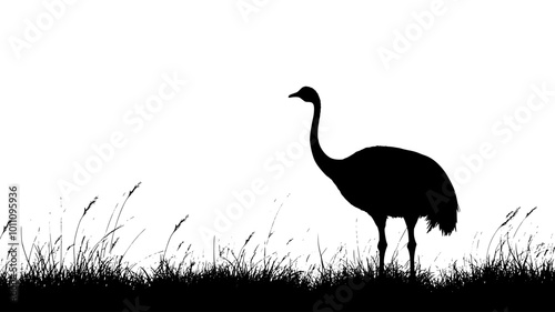 Ostrich standing in an open field, neck extended high, surveying the area, vector illustration art