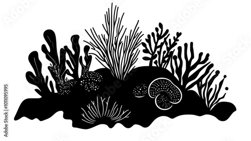Barnacle on coastal rock surrounded by seaweed, vector illustration art