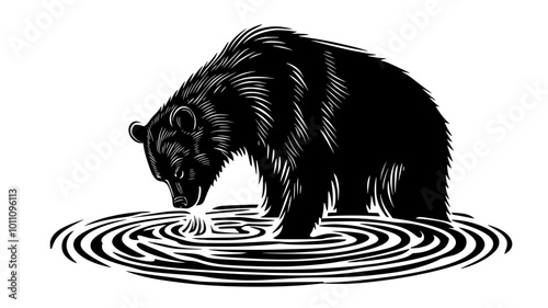 Bear drinking from a stream, with ripples around its mouth, vector illustration art