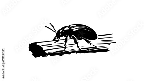 A beetle investigates a small opening in wood, searching for food or shelter, vector illustration art