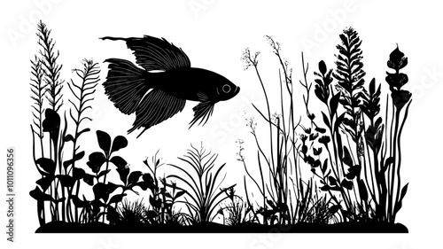 Betta fish in a planted nano aquarium setup, vector illustration art