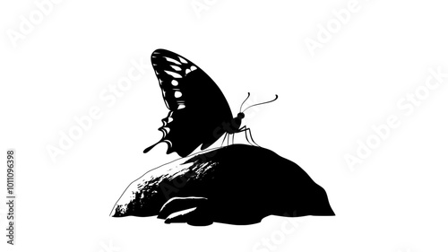 Butterfly resting on a rock with wings closed in sunlight, vector illustration art