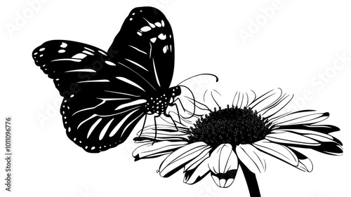 Close-up of butterfly's proboscis extended into a flower, vector illustration art
