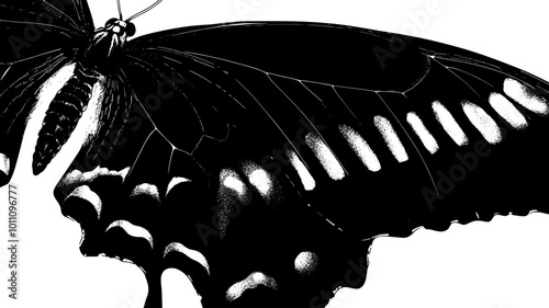 Close-up of butterfly wing scales showing intricate patterns, vector illustration art