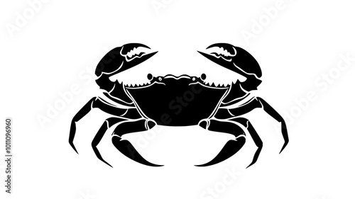 Crab in defensive stance on a flat surface, claws raised, vector illustration art