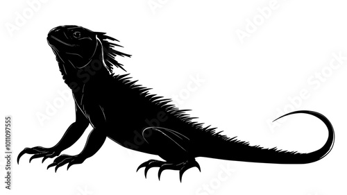 Frilled lizard with neck frill extended in a threat display, vector illustration art