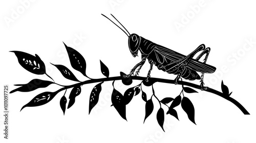 A grasshopper carefully crawls along a plant stem, moving between nodes, vector illustration art