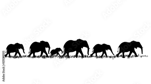 Group of elephants walking on open plain, some with trunks slightly lifted, vector illustration art