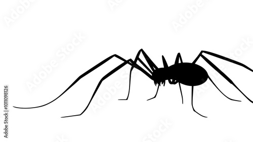 Harvestman moving across a flat surface, searching for food or shelter, vector illustration art