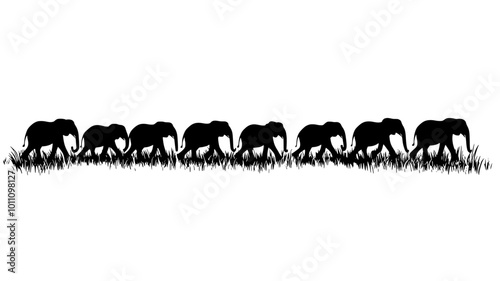 Herd of elephants walking in a line across wide field, vector illustration art