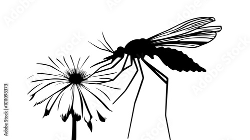 Male mosquito feeding on flower nectar with proboscis, vector illustration art