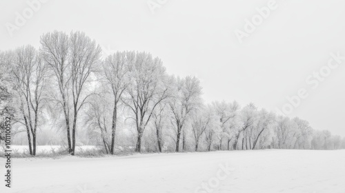 Wallpaper Mural The trees were blanketed in white snow during a winter storm. Torontodigital.ca