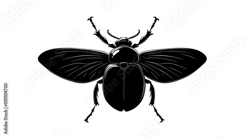 Beetle with opened elytra and extended wings preparing for flight, vector illustration art