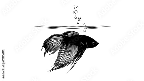 Betta fish swimming near the surface of a small aquarium, fins spread out behind it, vector illustration art