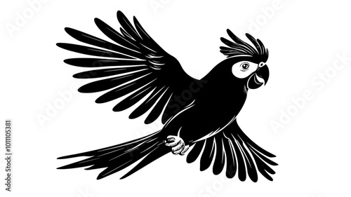 Cockatoo with crest raised in a territorial display, vector illustration art