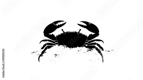Crab partially buried in sand, only claws and legs visible from above, vector illustration art