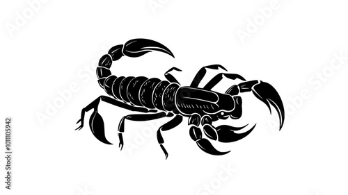 Female scorpion carrying her offspring on her back, vector illustration art